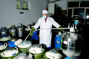 天山生物 國內領先的畜牧遺傳物質產品及技術服務提供商